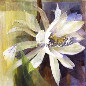 Queen Of The Night Flowers - Square
